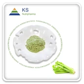 Kultivirani celer u prahu